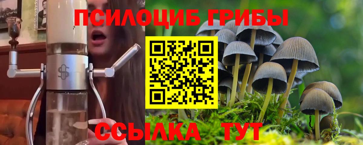 Галлюциногенные грибы Psilocybine cubensis Сарапул